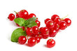 Johannisbeeren - 125 g