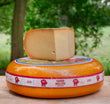 🗓️ Kräftiger, alter Gouda Käse