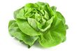 🗓️ Knackiger Bio-Kopfsalat