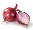 🗓️ Rote Bio-Zwiebeln